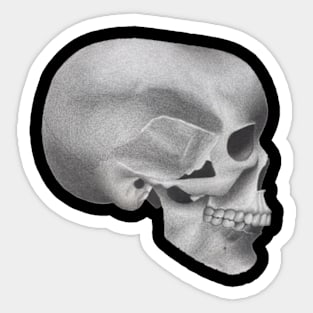 Skull Sticker